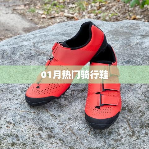 熱門騎行鞋大盤點(diǎn)，一月選購指南