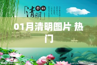01月清明圖片，精選熱門(mén)美圖欣賞