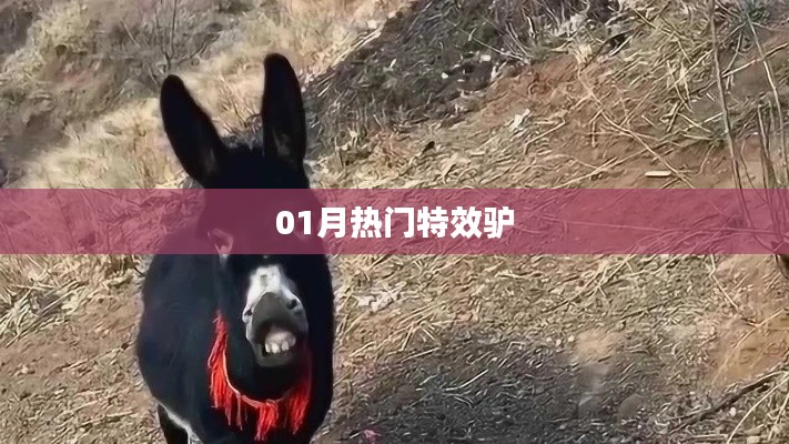 特效驢，揭秘一月熱門潮流元素！