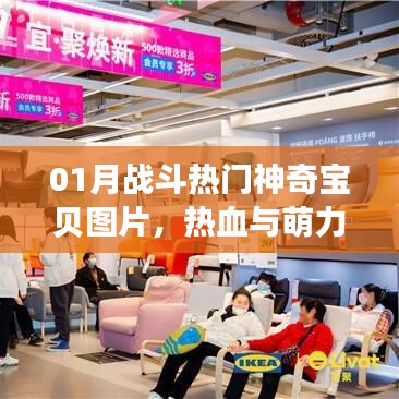 01月戰(zhàn)斗熱門神奇寶貝圖片，熱血萌力集結(jié)