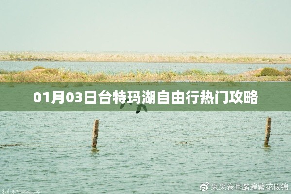 臺特瑪湖自由行指南，熱門攻略一網(wǎng)打盡
