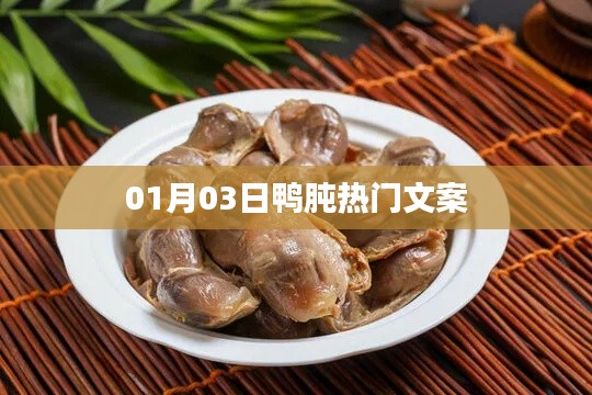 鴨肫熱門(mén)文案大揭秘，精選內(nèi)容，不容錯(cuò)過(guò)！