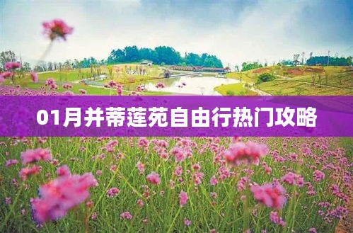 并蒂蓮苑自由行指南，熱門攻略一網(wǎng)打盡！