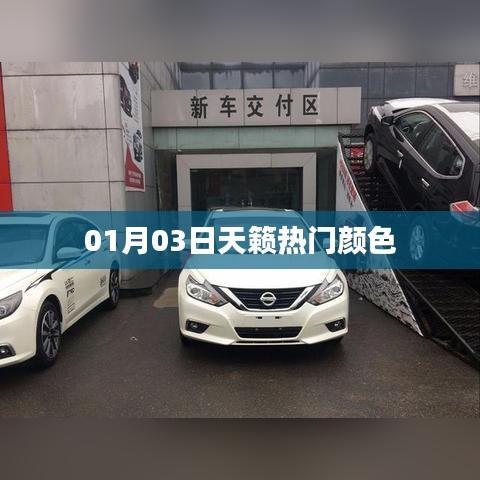 天籟熱門顏色大盤點(diǎn)，時(shí)尚之選，不容錯(cuò)過