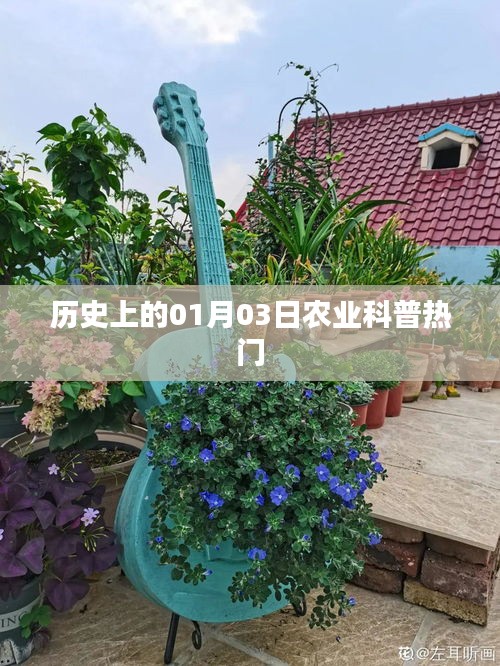 歷史上的今日，一月三日農(nóng)業(yè)科普知識熱點