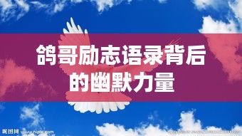 鴿哥勵(lì)志語錄背后的幽默力量