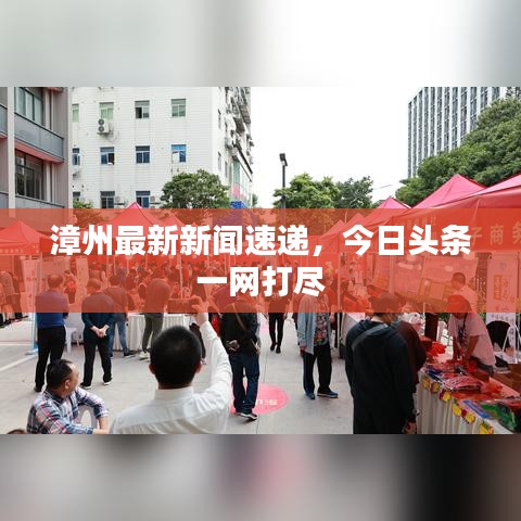 漳州最新新聞速遞，今日頭條一網(wǎng)打盡