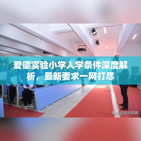 愛德實驗小學入學條件深度解析，最新要求一網(wǎng)打盡