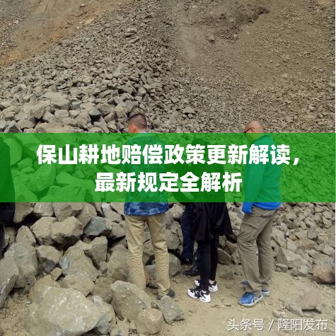 保山耕地賠償政策更新解讀，最新規(guī)定全解析