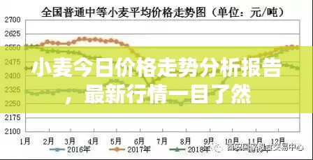 小麥今日價格走勢分析報告，最新行情一目了然