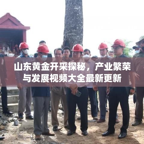 山東黃金開采探秘，產(chǎn)業(yè)繁榮與發(fā)展視頻大全最新更新