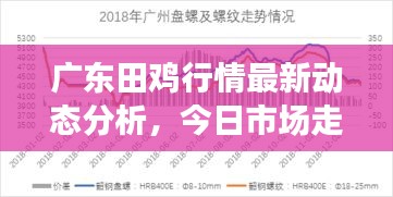 廣東田雞行情最新動(dòng)態(tài)分析，今日市場(chǎng)走勢(shì)揭秘