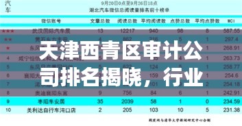 天津西青區(qū)審計公司排名揭曉，行業(yè)影響力榜單重磅出爐！