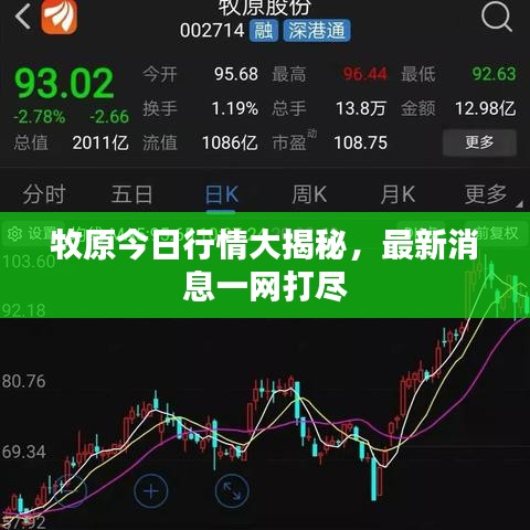 牧原今日行情大揭秘，最新消息一網(wǎng)打盡