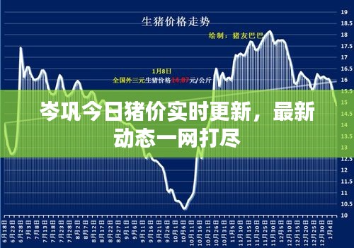 岑鞏今日豬價實時更新，最新動態(tài)一網打盡