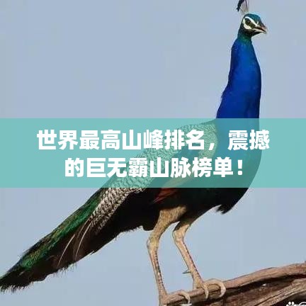 世界最高山峰排名，震撼的巨無霸山脈榜單！