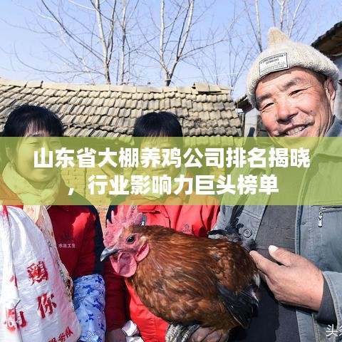 山東省大棚養(yǎng)雞公司排名揭曉，行業(yè)影響力巨頭榜單