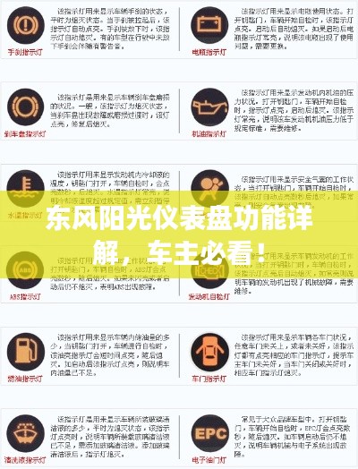 東風陽光儀表盤功能詳解，車主必看！