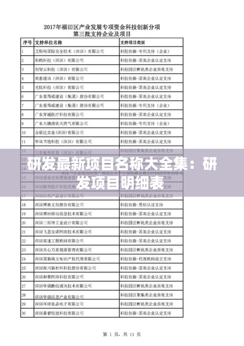 研發(fā)最新項目名稱大全集：研發(fā)項目明細表 