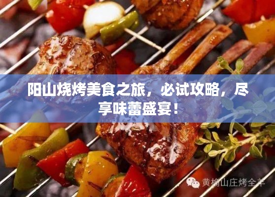 陽山燒烤美食之旅，必試攻略，盡享味蕾盛宴！