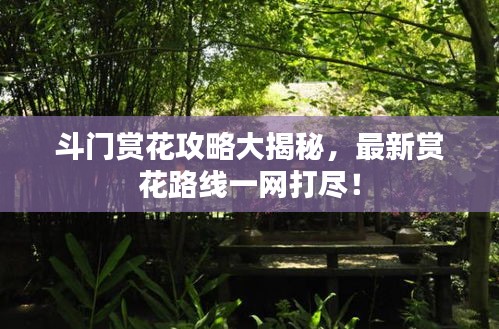 斗門賞花攻略大揭秘，最新賞花路線一網(wǎng)打盡！