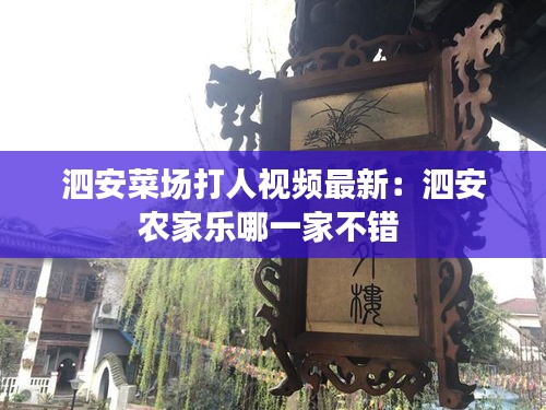 泗安菜場打人視頻最新：泗安農(nóng)家樂哪一家不錯 