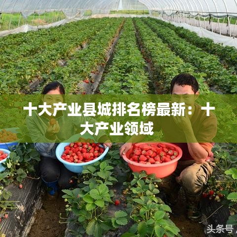 十大產業(yè)縣城排名榜最新：十大產業(yè)領域 