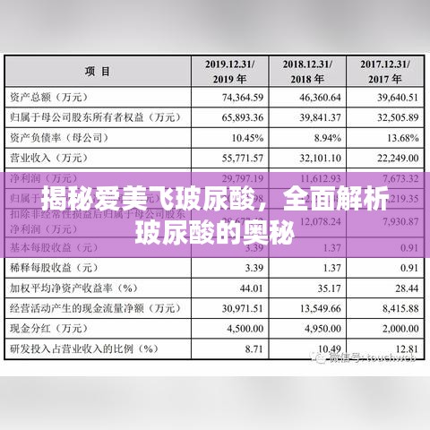 揭秘愛美飛玻尿酸，全面解析玻尿酸的奧秘