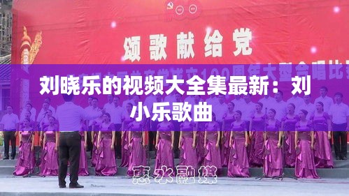 劉曉樂的視頻大全集最新：劉小樂歌曲 