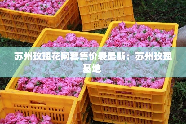 蘇州玫瑰花網套售價表最新：蘇州玫瑰基地 