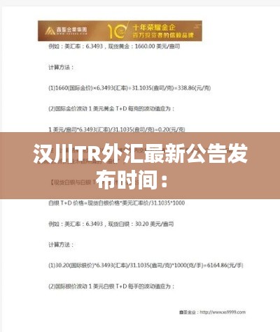 漢川TR外匯最新公告發(fā)布時(shí)間： 