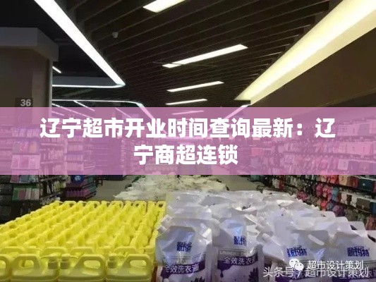 遼寧超市開(kāi)業(yè)時(shí)間查詢(xún)最新：遼寧商超連鎖 