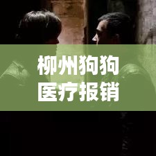 柳州狗狗醫(yī)療報(bào)銷政策最新：柳州哪個(gè)寵物醫(yī)院便宜 