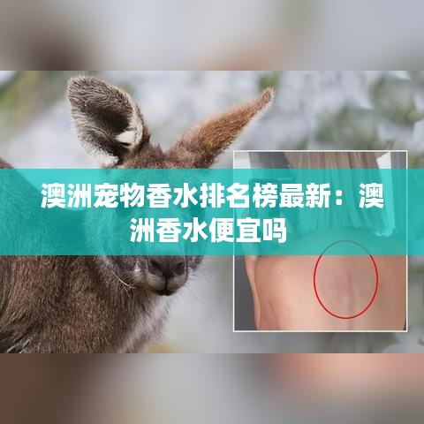 風(fēng)度翩翩 第4頁