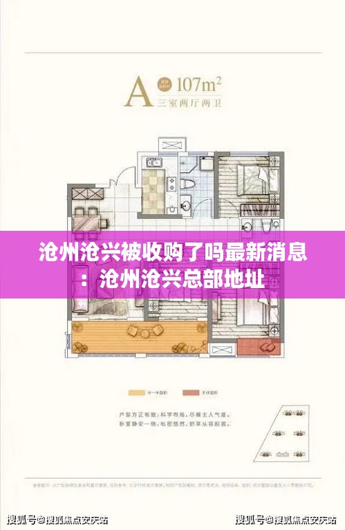 滄州滄興被收購了嗎最新消息：滄州滄興總部地址 