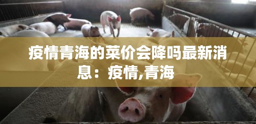 疫情青海的菜價會降嗎最新消息：疫情,青海 