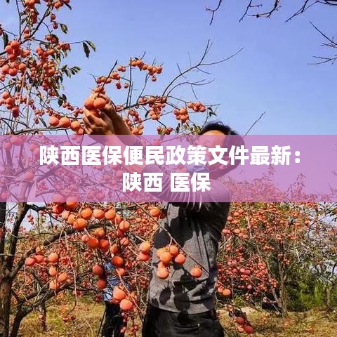 法貴必行 第3頁