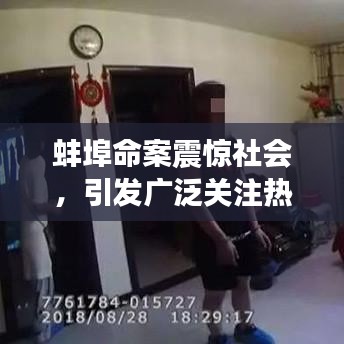蚌埠命案震驚社會(huì)，引發(fā)廣泛關(guān)注熱議