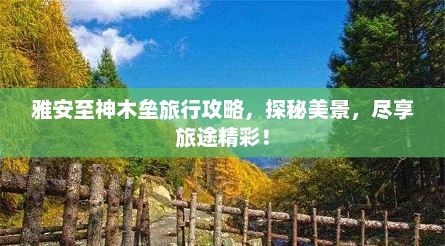 雅安至神木壘旅行攻略，探秘美景，盡享旅途精彩！