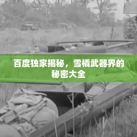 百度獨家揭秘，雪橇武器界的秘密大全
