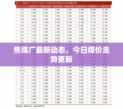 焦煤廠最新動態(tài)，今日煤價走勢更新