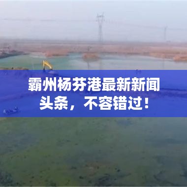 霸州楊芬港最新新聞?lì)^條，不容錯(cuò)過(guò)！