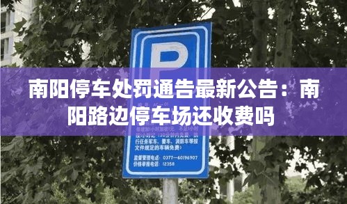 南陽停車處罰通告最新公告：南陽路邊停車場還收費(fèi)嗎 