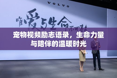 寵物視頻勵(lì)志語錄，生命力量與陪伴的溫暖時(shí)光