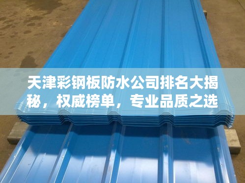 天津彩鋼板防水公司排名大揭秘，權(quán)威榜單，專業(yè)品質(zhì)之選！