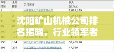 沈陽礦山機(jī)械公司排名揭曉，行業(yè)領(lǐng)軍者榜單出爐！