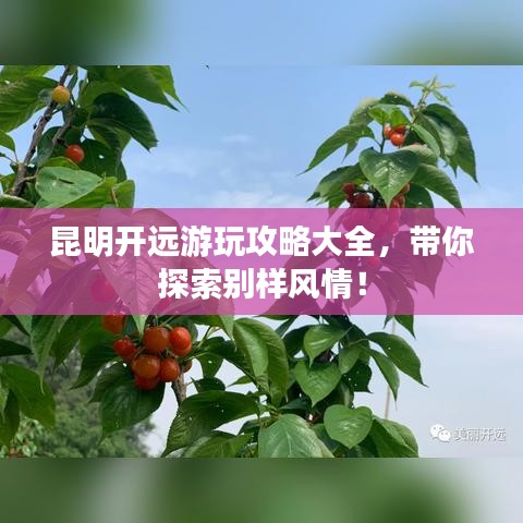 昆明開遠游玩攻略大全，帶你探索別樣風(fēng)情！