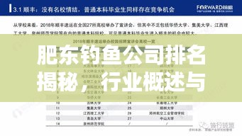 肥東釣魚公司排名揭秘，行業(yè)概述與熱門推薦