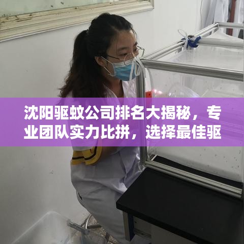 沈陽驅(qū)蚊公司排名大揭秘，專業(yè)團隊實力比拼，選擇最佳驅(qū)蚊服務！
