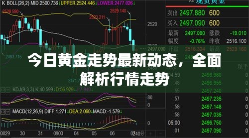 今日黃金走勢最新動態(tài)，全面解析行情走勢
